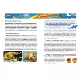 Хищники (ДЭР)