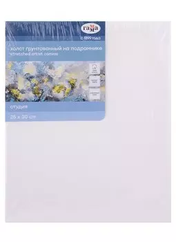Холст на подрамнике 25*30см "Студия", 100% хлопок, мелкое зерно, Гамма