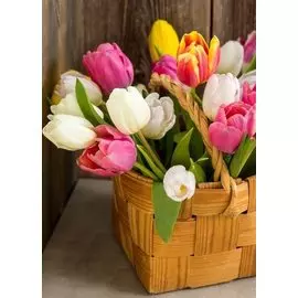 Холст с красками по номерам 22х30см ТМ Рыжий кот (14 цв) Свежие тюльпаны в корзине (Арт. HS615)
