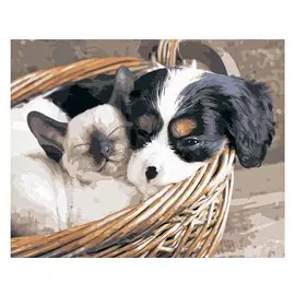 Холст с красками по номерам 40х50см (23цв.) ТМ Рыжий кот Котенок и щенок в корзине Х-9171