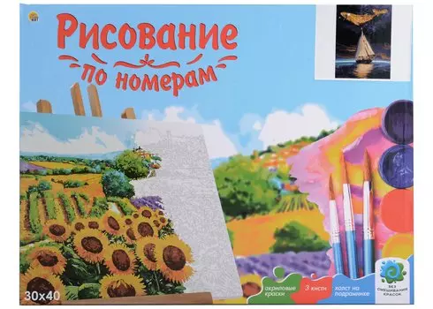 Холст с красками по номерам "Корабль и Созвездие Кита", 30 х 40 см