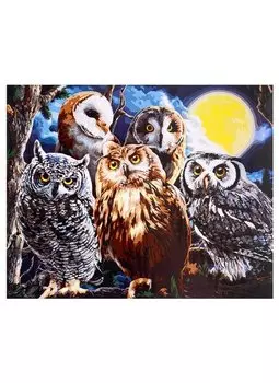 Холст с красками по номерам на подрамнике "Совиная компания", 40 х 50 см