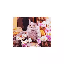 Холст с красками по номерам "Британский кот в цветах", 30 х 40 см