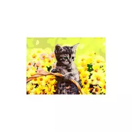 Холст с красками по номерам "Котенок среди цветов", 30 х 40 см