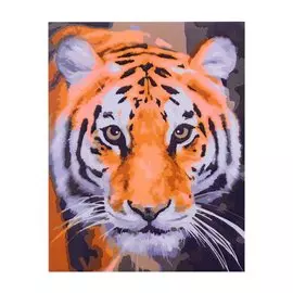 Холст с красками по номерам "Красивый внимательный тигр", 17х22 см