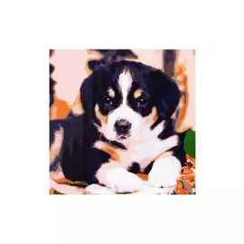 Холст с красками 20х20см по номерам (в коробке), (13цв) Милый щенок (Арт. ХК-4068)