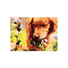 Холст с красками по номерам "Щеночек в цветах", 22 х 30 см