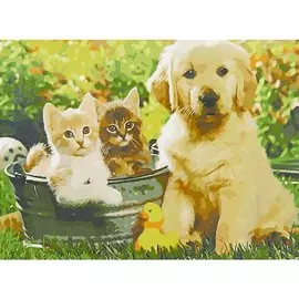 Холст с красками по номерам "Щенок и два котенка", 40 х 50 см