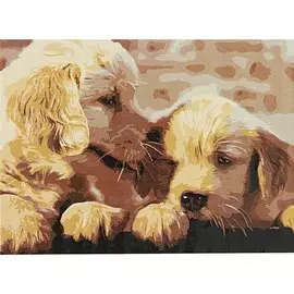 Холст с красками по номерам "Щенята", 22 х 30 см