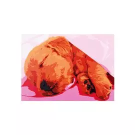 Холст с красками по номерам "Спящий щеночек", 22 х 30 см