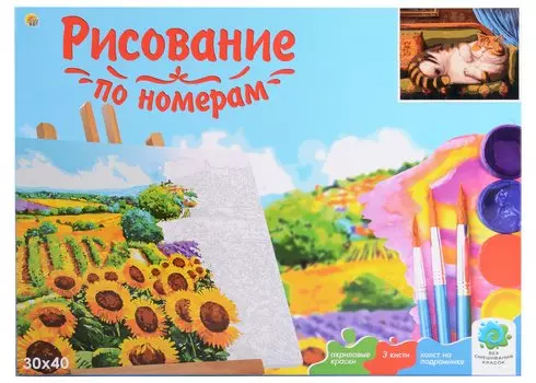 Холст с красками по номерам "Вальяжный кот", 30 х 40 см