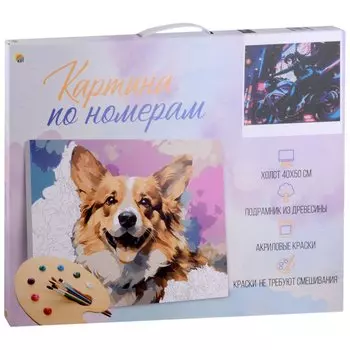 Холст с красками по номерам "Жажда скорости", 40 х 50 см