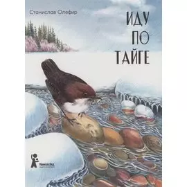 Иду по тайге