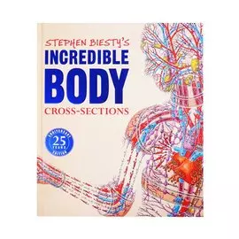 Incredible Body Cross-Section