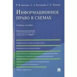 Информационное право в схемах. Учебное пособие