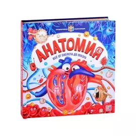 Анатомия. Книжка-панорамка
