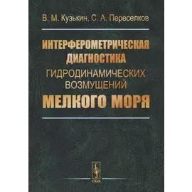 Интерферометрическая диагностика гидродинамических возмущений мелкого моря