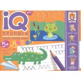 IQ-прописи. Пишем правой-левой. Прописи для двух рук
