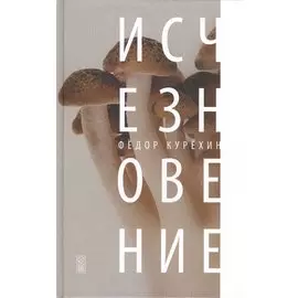 Исчезновение: роман