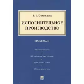 Исполнительное производство: практикум
