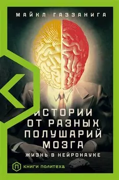Истории от разных полушарий мозга