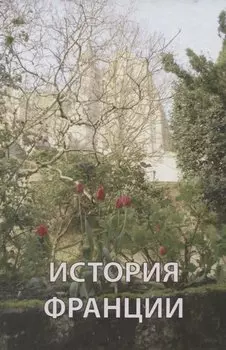 История Франции (Андреев)
