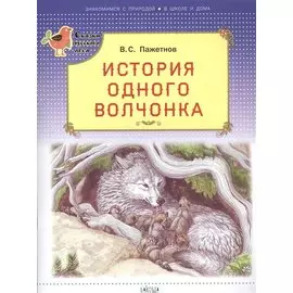 История одного волчонка