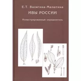 Ивы России. Иллюстрированный определитель