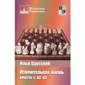 Изумительная жизнь вместе с b2-b3