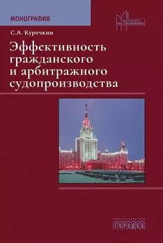 Эффективность гражданского и арбитражного судопроизводства. Монография
