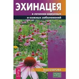 Эхинацея в лечении вирусных и кожных заболеваний (3228)