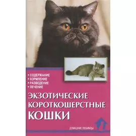 Экзотические короткошерстные кошки. Содержание. Кормление. Разведение. Лечение