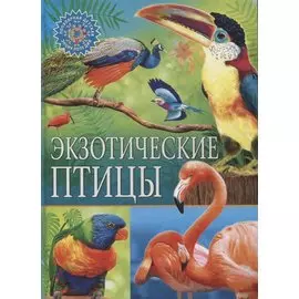 Экзотические птицы
