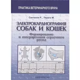 Электрокардиография собак и кошек. Формирование и интерпретация сердечного ритма