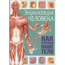 Энциклопедия человека. Как устроено наше тело