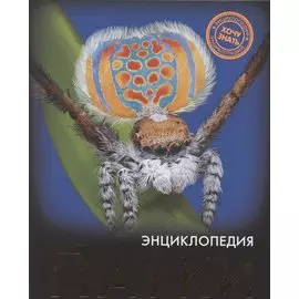 Пауки: энциклопедия