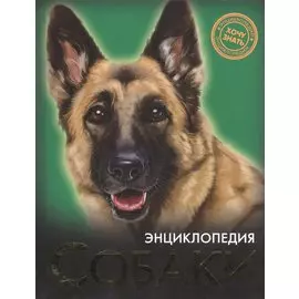 Собаки