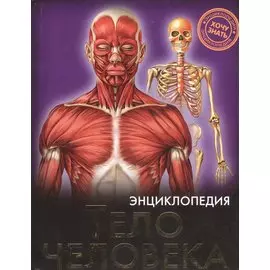 Тело человека