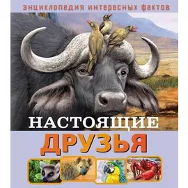Настоящие друзья