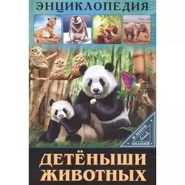 ЭНЦИКЛОПЕДИЯ. В МИРЕ ЗНАНИЙ. ДЕТЁНЫШИ ЖИВОТНЫХ