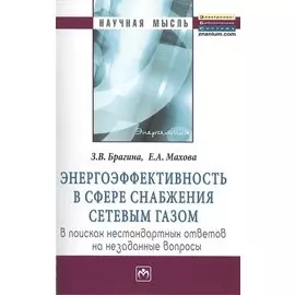 Энергоэффективность в сфере снабжения сетевым газом. В поисках нестандартных ответов на незаданные вопросы. Монография