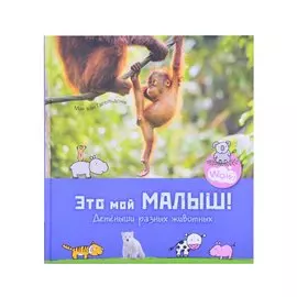 Это мой малыш! Детеныши разных животных