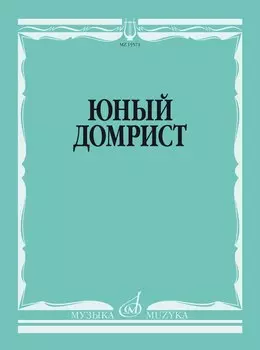 Юный домрист