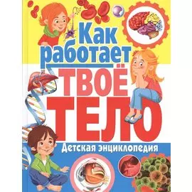 Как работает твое тело. Детская энциклопедия