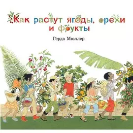 Как растут ягоды, орехи, фрукты?