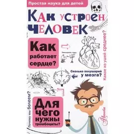 Как устроен человек