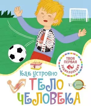 Как устроено тело человека