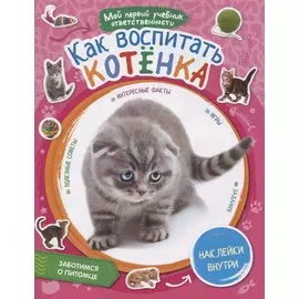 Как воспитать котенка + наклейки внутри
