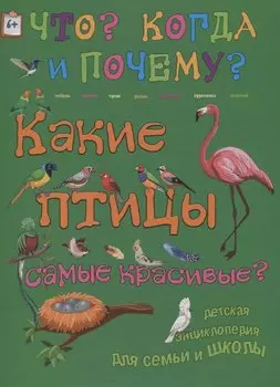 Какие птицы самые красивые?