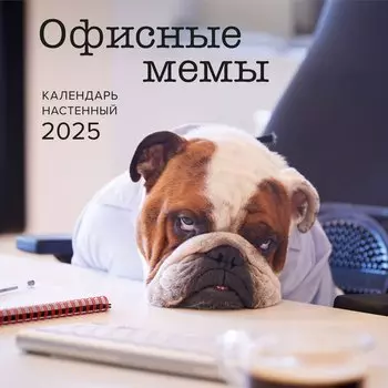 Календарь 2025г 300*300 "Офисные мемы" настенный, на скрепке